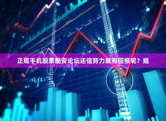 正规手机股票配资论坛还信努力就有回报呢？姐