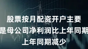 股票按月配资开户主要原因是母公司净利润比上年同期减少